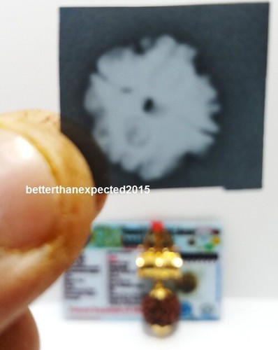 4 Mukhi Rudraksha Cuatro Caras Rudraksh Nepal Cuentas Colgante CERTIFICADO LABORATORIO AA+++ - Imagen 3 de 5