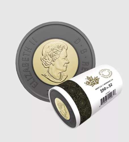 CANADÁ $2 ANILLO NEGRO ESPECIAL ROLLO ENVOLVENTE MONEDA - HONOR A LA REINA ISABEL II 2022 - Imagen 4 de 5