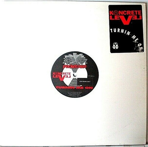 HIP HOP/RAP 12" VINYL RECORDS SINGLES AND EP's MANY PROMOS W/DISCOUNTS 1990's+ - Picture 19 of 39