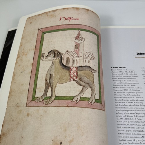 Handwritten Ten Centuries of Manuscript Treasures National Library Australia PB - Picture 11 of 24