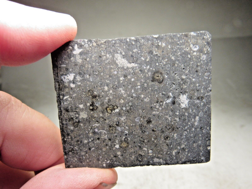 HIGH QUALITY! HISTORIC WITNESSED FALL! BEST ALLENDE CV3 METEORITE! 16.7 GMS