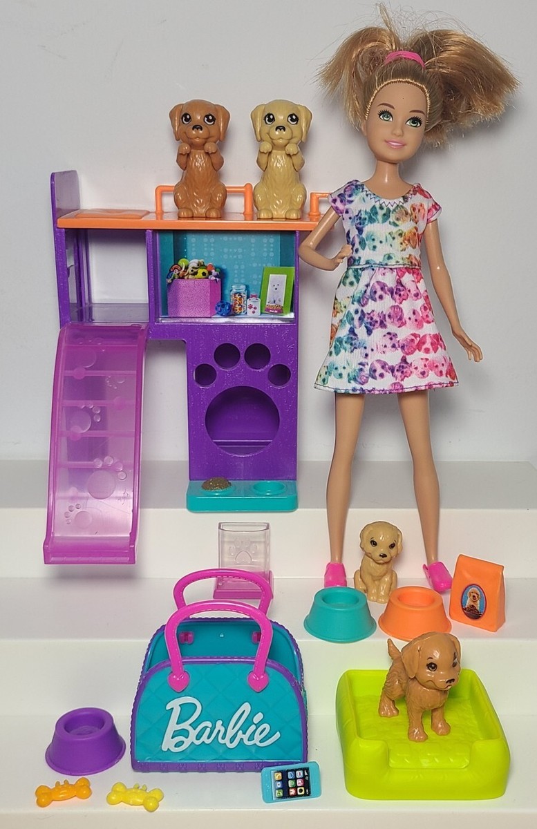 Barbie Stylin Pup, Birthday dreams 2 セット Barbie Dream Besties Doll and Accessories, Malibu” Posable