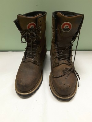 irish setter 83844