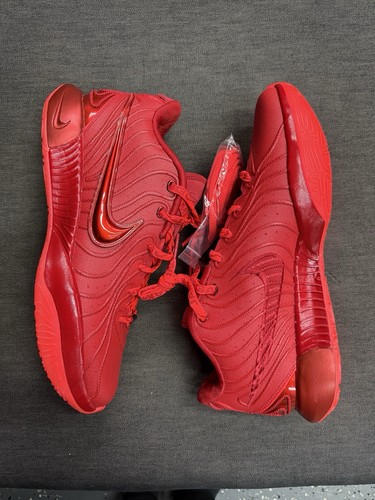 Nike LeBron XXI 21 James Gang hellkarmesinrot Fitnessstudio rot HF5951-600 Größe 10 Herren