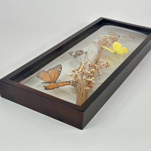 Vintage French Curved Glass Black Wood Hanging Framed Artwork With 4 Butterflys - Picture 6 of 24