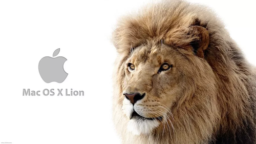 UNIDAD DE ESTADO SÓLIDO SSD APPLE MACBOOK AIR 13 2008 A1237 80 GB ZIF+OS X LION 10.7.5 - Imagen 6 de 7