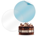 Spec101 Acrylic Cake Disc 8.25in 2 Pack - Round Acrylic Disc Set - 1/8in Thick