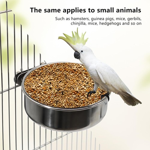 4-Pack Rustproof Bird Feeders - Perfect for Cockatiels, Parakeets, and More - Picture 6 of 7