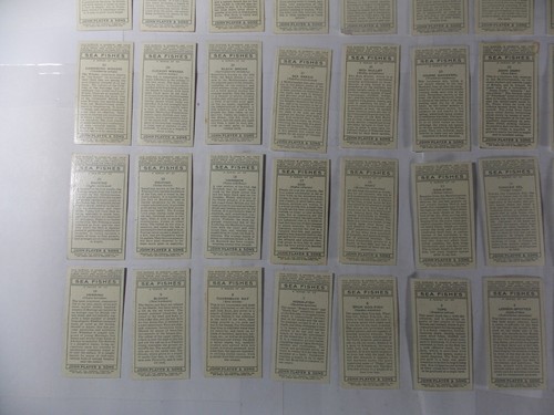 Spieler Zigarettenkarten Seefische 1935 Komplettsatz 50 - Bild 9 von 10