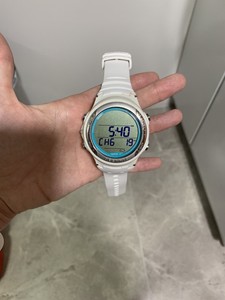 oceanic geo 2.0 wrist computer