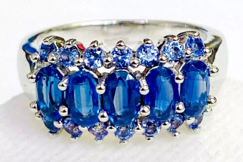 HSN Sterling Silver Colleen Lopez 2.00 Cttw Kyanite &Tanzanite Ring Size 6