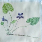 Foto 9 di 16