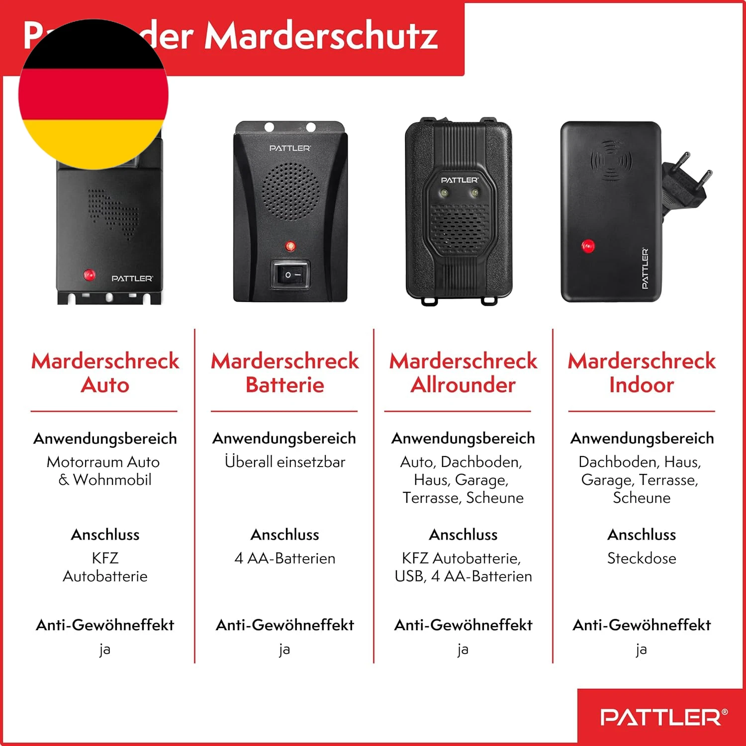 Bild 10 von 12