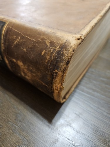 1858 EXPLORATIONS & SURVEYS MISSISSIPPI PACIFIC RAILROAD Maps Birds Baird - Picture 9 of 10