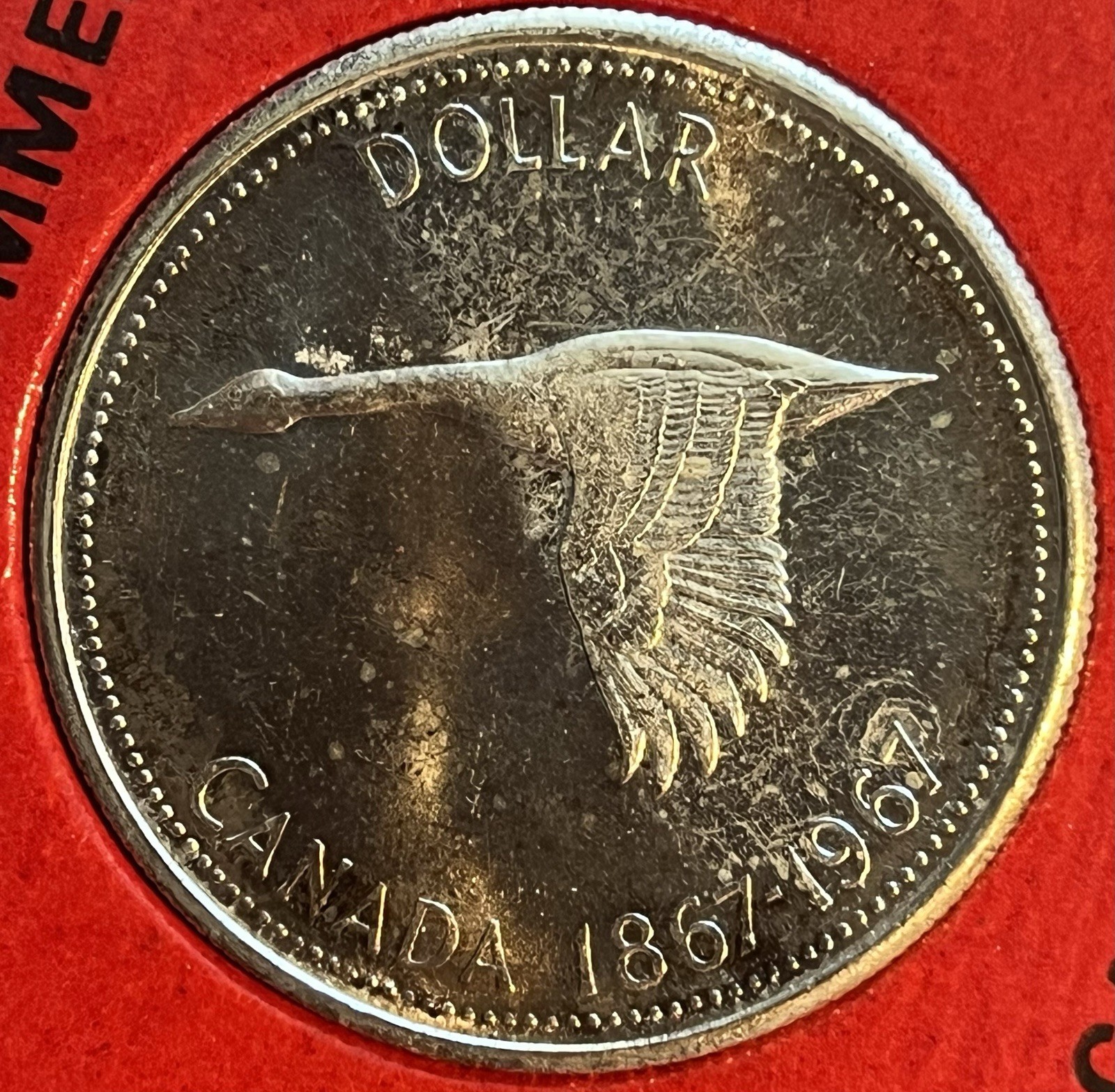 Picture 2 of 3