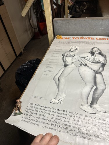 How To Rate Girls 1 To 10 Western Graphics National Scoring Association Poster - Picture 10 of 15