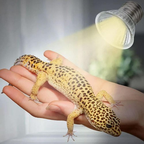 +3Pcs Reptile Light Bulb Uv Heat Lamp Uvb+Uva Tortoise Turtle Supplement J1M5 - Picture 8 of 15