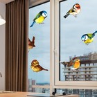  6 Pcs Bird Collision Window Decals Door and Anti-collision Strips