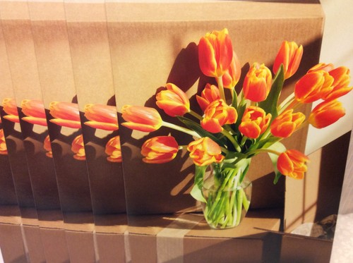 AVANTI NEW HOME GRUSSKARTEN Neu mit Umschlägen LOT 6 "HAPPY" *SUPER SALE**