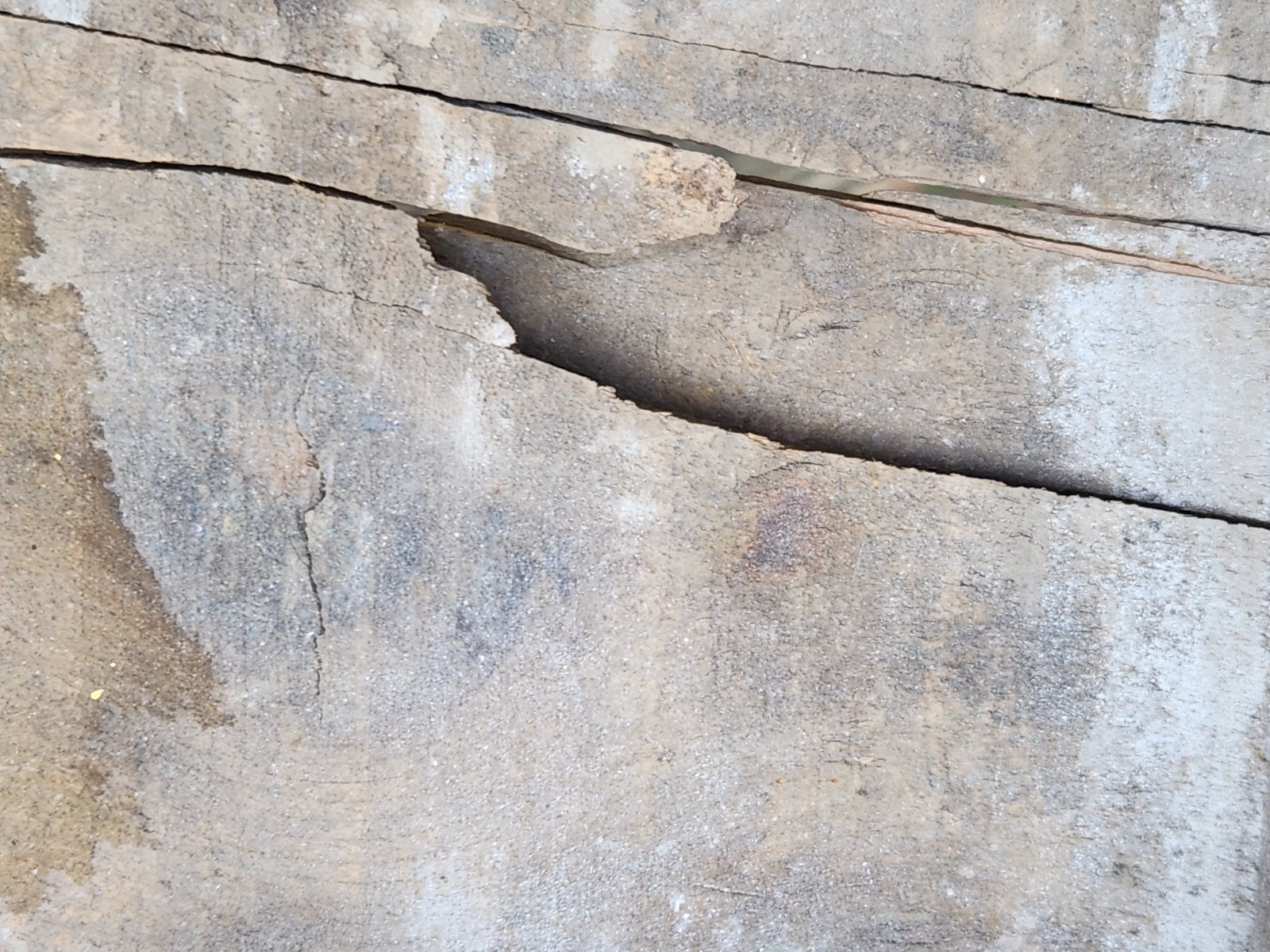 Herald Brand Prunes Wood Box Shipping Crate California Fruit Vintage Distressed