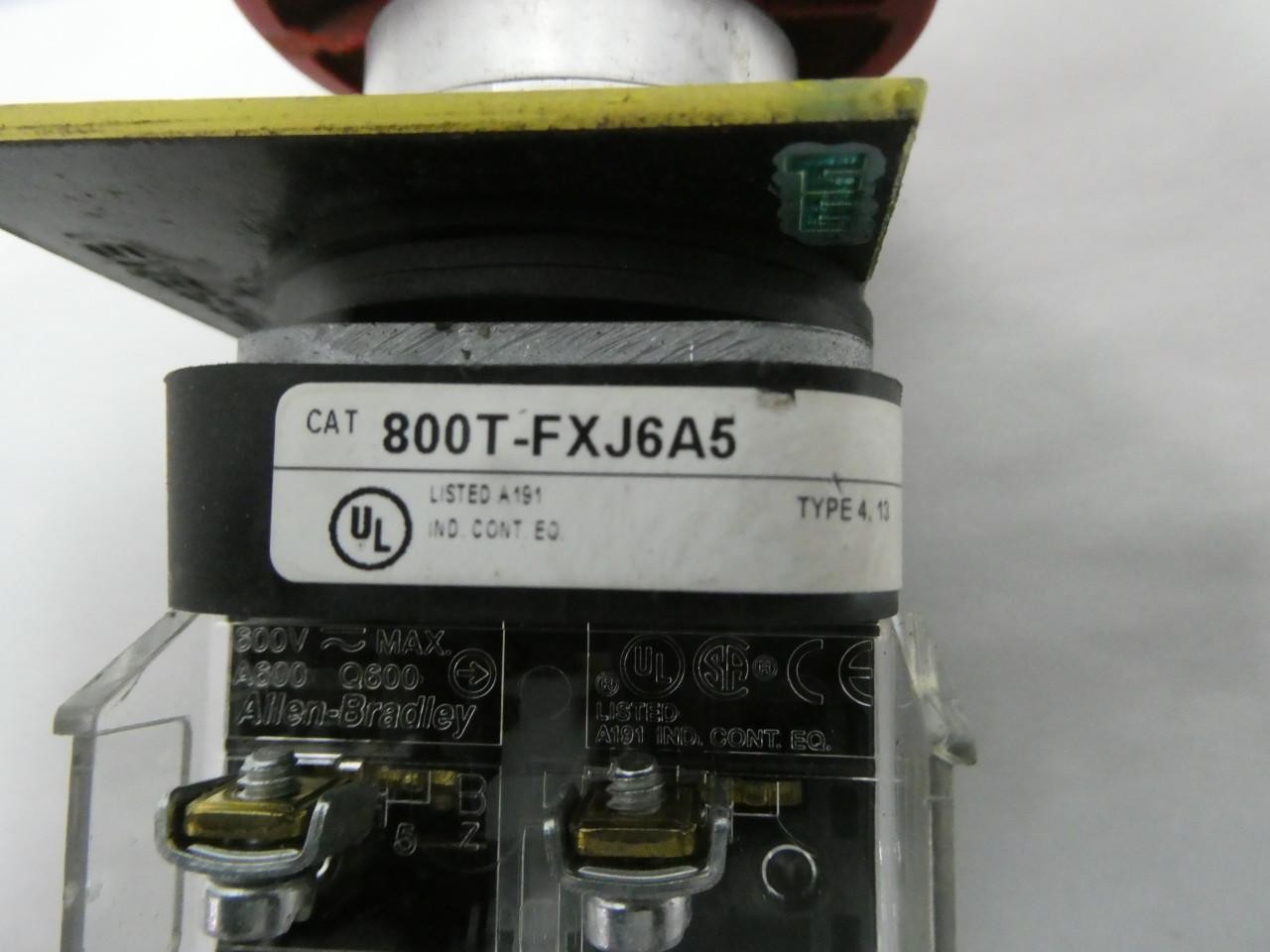 Picture 4 of 5