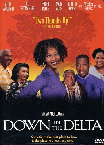 Down in the Delta (DVD) OWN IT BRAND NEW! - Picture 1 of 1