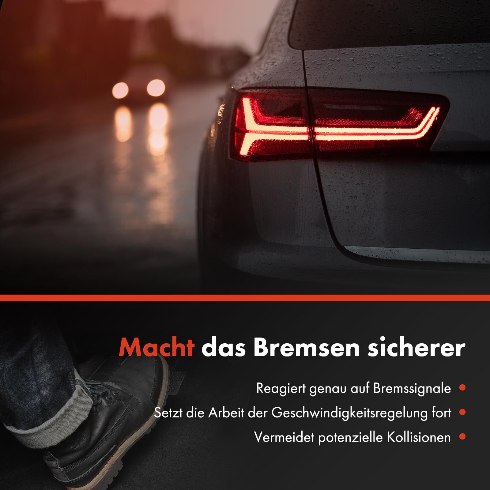 Bild 8 von 8
