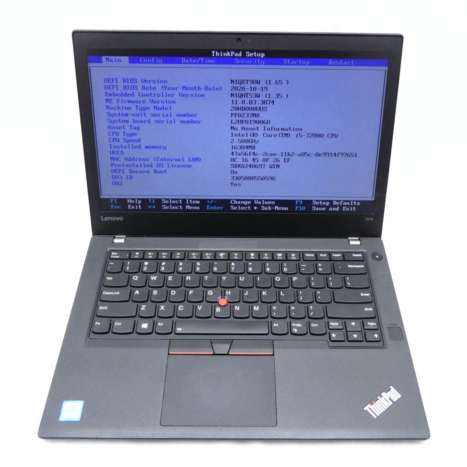 main image