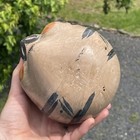 Picture 8 of 14