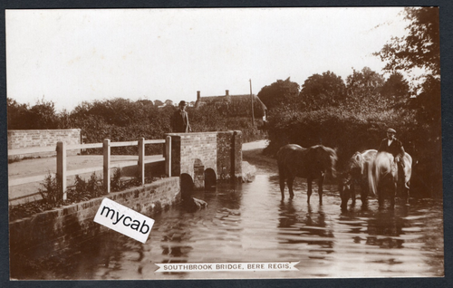 Postkarte Bere Regis bei Tolpuddle Dorset Pferde Southbrook Bridge RP von Hatton