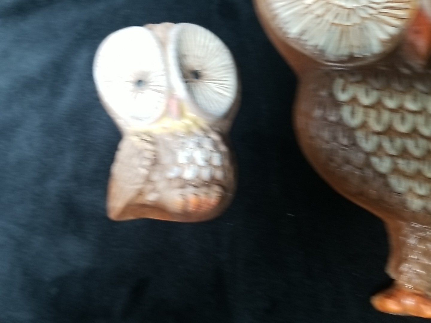 Picture 5 of 11