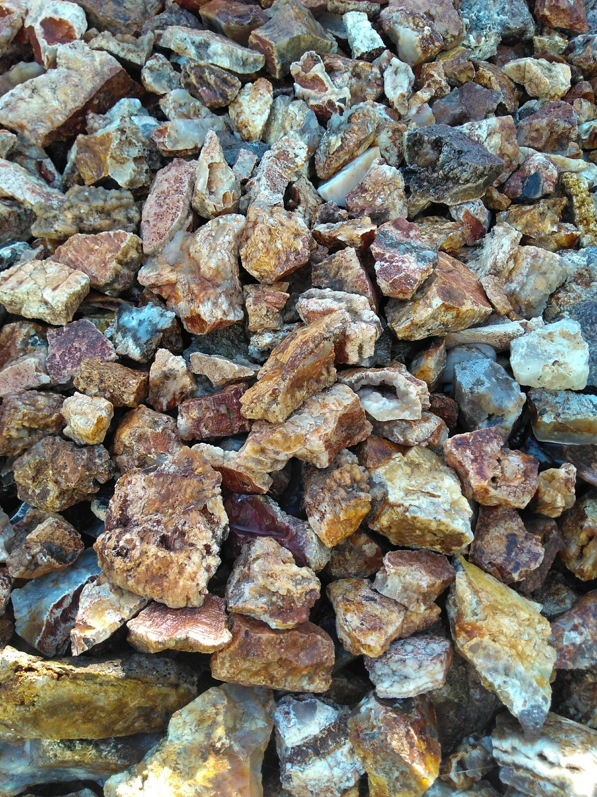 Bild 4 von 11