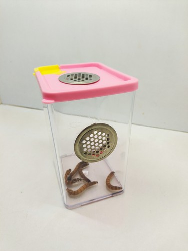 Praying Mantis Stick Insect Arboreal Cages Feeding Box Enclosure SIDE VENTED - Picture 5 of 7