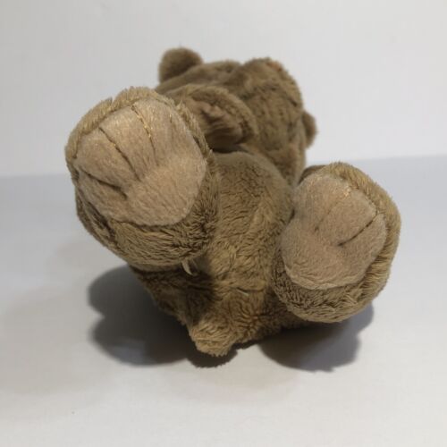 Furreal FR Baby Beige Bear Cub Super Carino Realistico Cerca solo esposizione - Foto 3 di 11