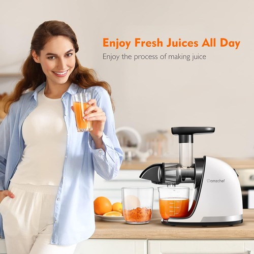 AMZCHEF Juicer Machines - Cold Press Slow Juicer - Masticating Juicer for Whole - Picture 3 of 9