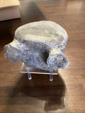 Baleen Whale Vertebrae Fossil HUGE W Ventral Knobs 6” Wide w/stand