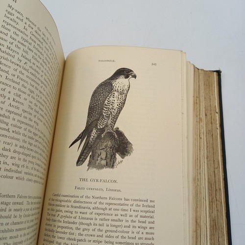 1899 An Illustrated Manual of British Birds Howard Saunders Second Edition Co - Bild 12 von 14
