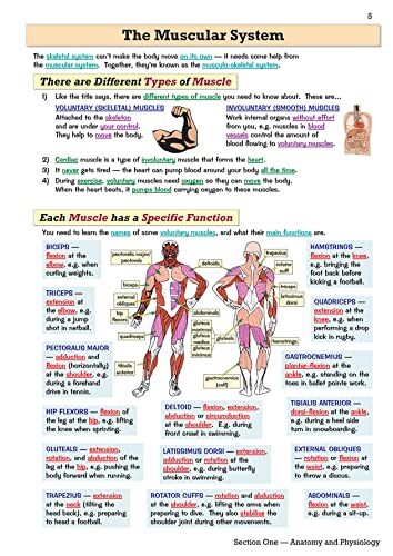 GCSE Physical Education Revision Guide superb for the 2023 and 2024 exams CGP... - Picture 9 of 12