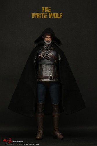 Figura 1/6 The Witcher Geralt U.S. Nine Craftsmen White Wolf Ciri Toys Hot Buzz - Imagen 6 de 6
