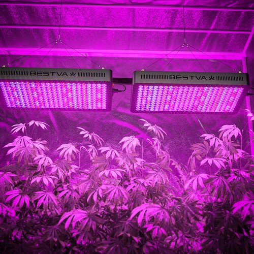 BESTVA LED Grow Light Full Spectrum Hydro For Veg Flower Medical Plants Lamp - Picture 27 of 58