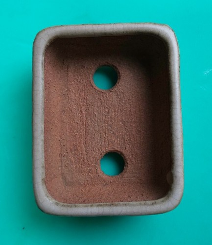 TOKONAME Bonsai pot Hattori: rectangular bowl - Picture 8 of 10