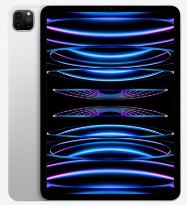 Apple iPad Pro 11 4th Gen 256GB Silver Unlocked Excellent