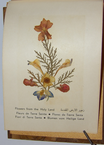 VINTAGE JERUSALEM PRESSED FLOWER BOOK! WOOD COVERS! HOLY LAND SCENES! +BONUS! - Bild 6 von 24