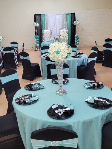 Your Chair Covers - Stretch Spandex Banquet Chair Covers for parties and events - Picture 57 of 307