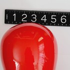 Bild 6 von 15