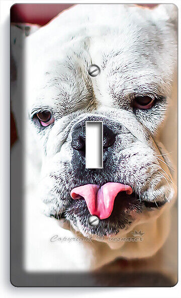 Outlet dog hotsell