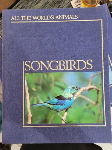 All the World's Animals TORSTAR Lot of 13 Books HOMESCHOOL Decor FISHES Primates - Picture 10 of 18