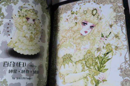Doujinshi SAKIZO X KARASU HANAMUKE (A4 24pages) Futariten illustration book - Picture 8 of 11
