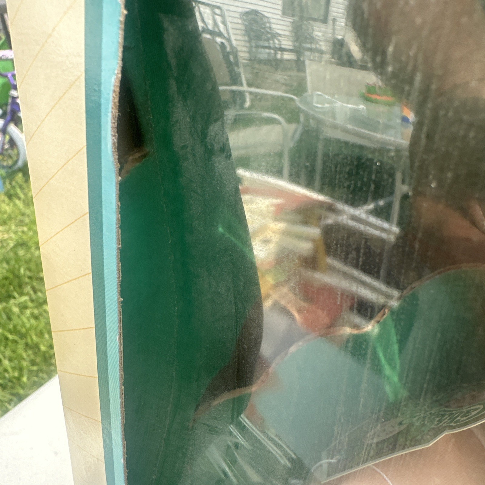 Bild 12 von 13