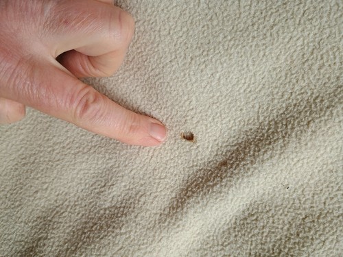 LL Bean Polar Fleece Polartec Blanket Beige Full/Queen 90" x 88" - Picture 8 of 8